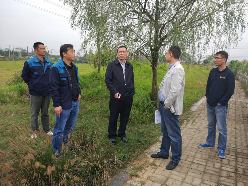 桑海产业园领导实地察看金力公司代建重点项目