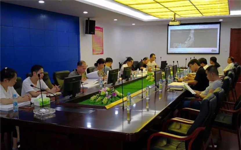 金水大道下穿段项目组织召开防洪影响评价报告专家评审会