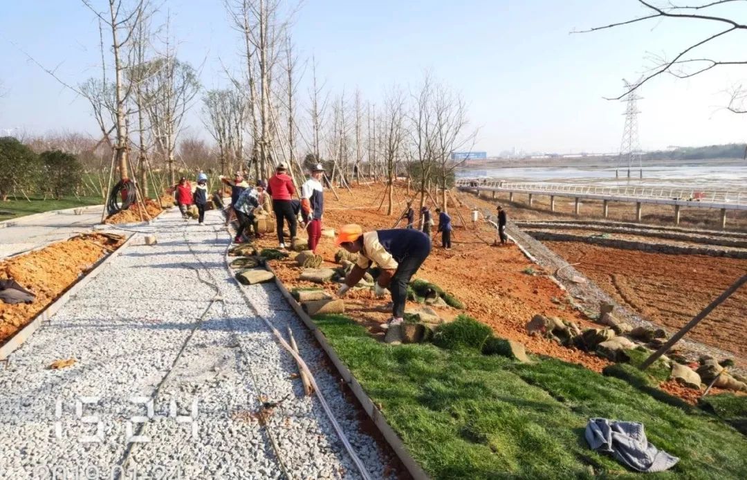 又一新去处！儒乐湖生态公园将于春节前开园 