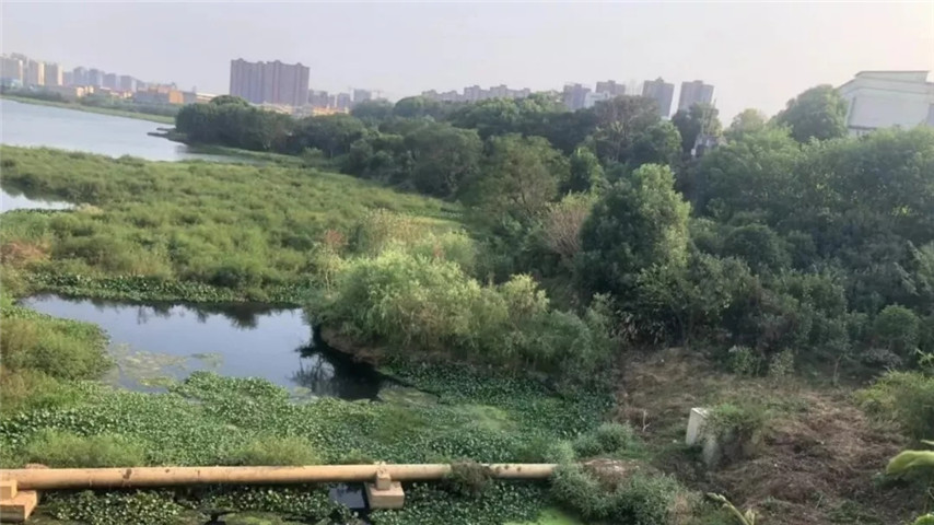 工匠集团召开黄家湖上湖湖体综合整治工程现场调度会