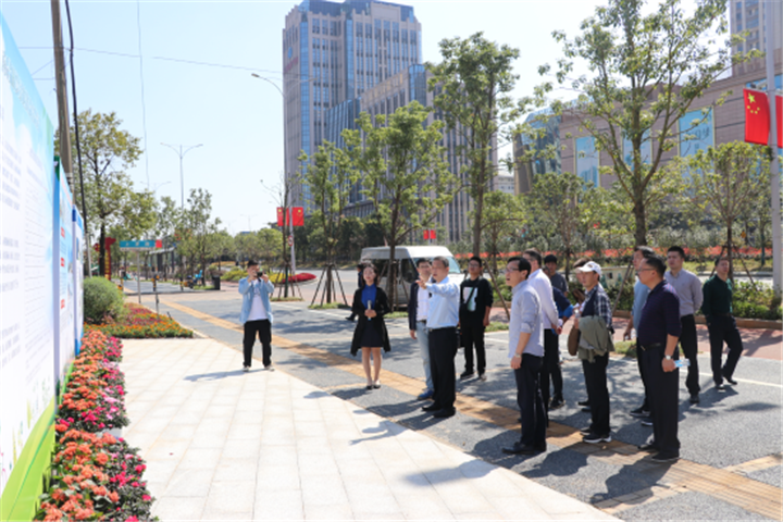 市政府副秘书长杨保根带队调研经开区邮票绿地建设情况