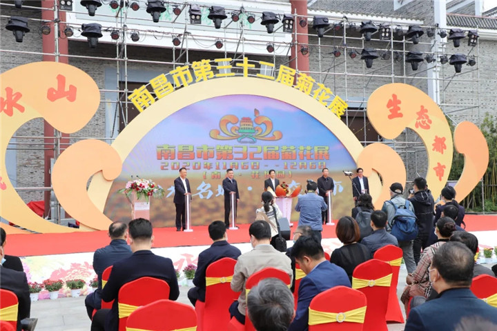 经开区菊花展作品惊艳亮相